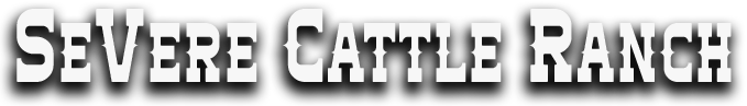 SeVere Cattle Co. Logo
